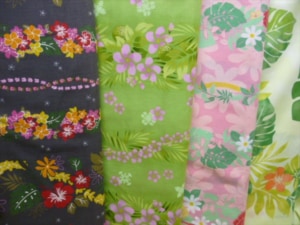 50cm：660円