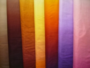50cm：660円